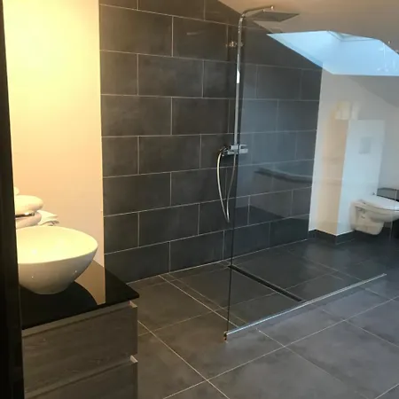 Les Residences Du Bemrath Apartment Hambach