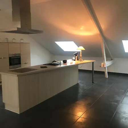 Les Residences Du Bemrath * Hambach